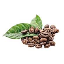 Extracto de Café Verde